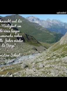 Christine Scheel