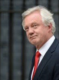 David davis