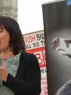 Kerry Mccarthy