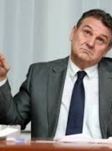 čačić Radimir