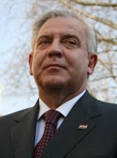 Fiolić željko