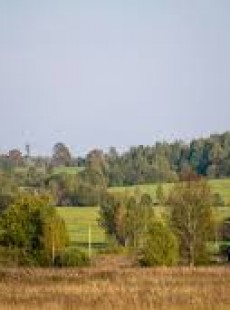 Juris Viļums Juris Viļums