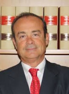 Francesc Vallès Vives