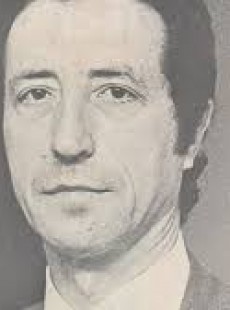 Josep Verde I Aldea