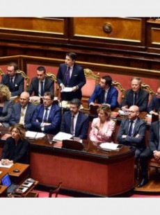 Loredana De Petris 