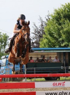 Ronja Schmitt