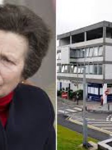Anne Main
