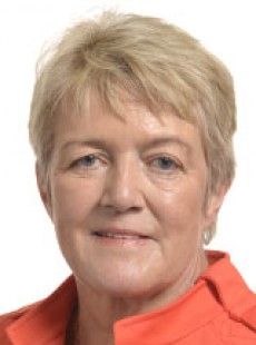 Birgit Collin-langen