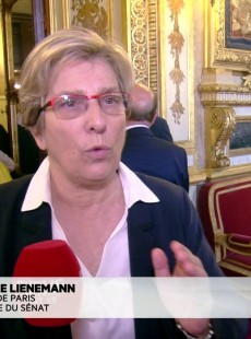 Marie-noëlle Lienemann
