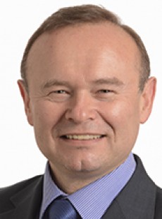 Davor škrlec