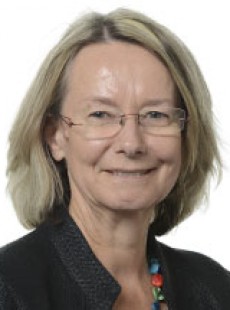 Evelyne Gebhardt