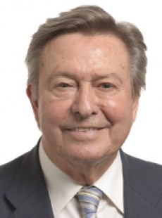 Luis De Grandes Pascual
