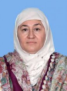 Nafeesa Inayatullah Khan Khattak Nafeesa Inayatullah Khan Khattak