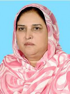 Nighat Parveen Nighat Parveen