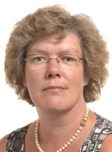 Petra Kammerevert