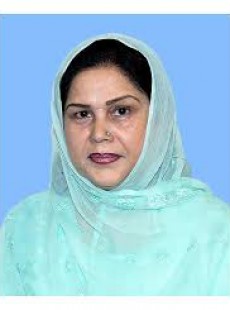 Shaheen Shafiq Shaheen Shafiq