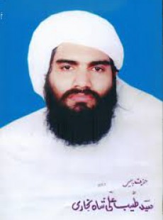 Syed Mir Shah Syed Mir Shah