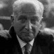 Gaspar Llamazares Trigo (giu-icv)