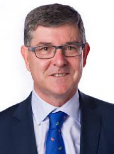 Vicente Guillén Izquierdo
