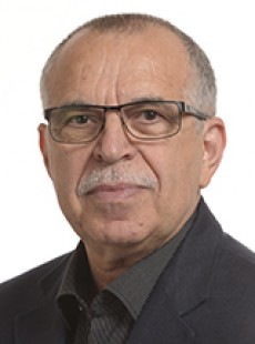 Victor Bostinaru