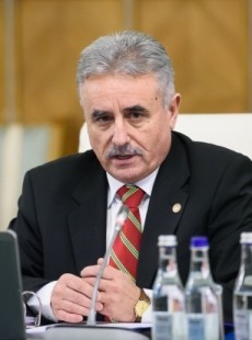 ştefan Viorel